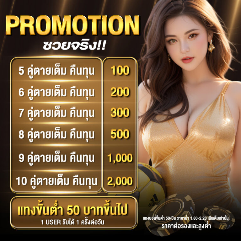 Promotion ตายหมดคืนทุน